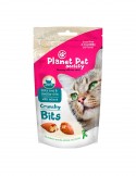 Planet Pet Gato Bites pelo y piel 40 gr