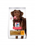 Hill's Science Plan Healthy Mobility Adult Large Breed Alimento para perros adultos