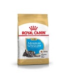 Royal Canin Mini Schnauzer Puppy
