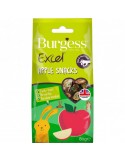 Burgess excel snack manzana 80 grs