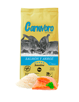 Carnívoro salmón y arroz