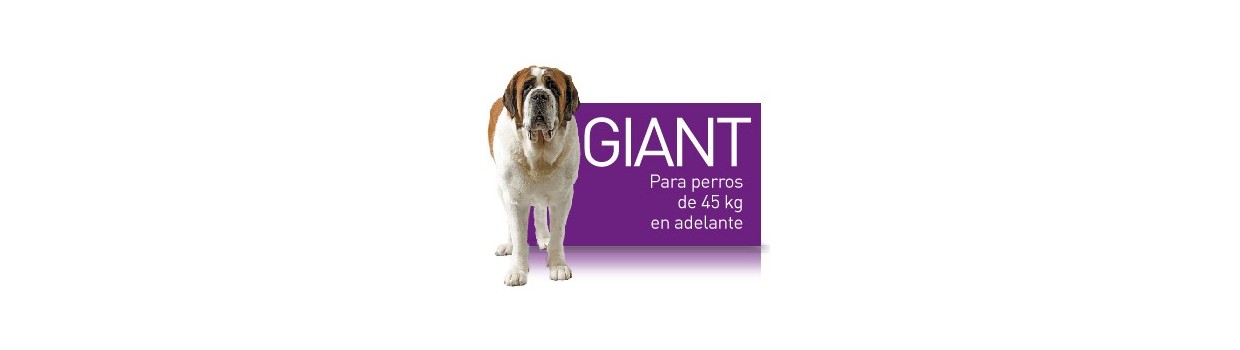 Pienso para perros Royal Canin Giant